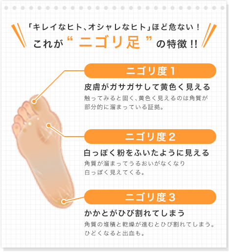ニゴリ足の特徴